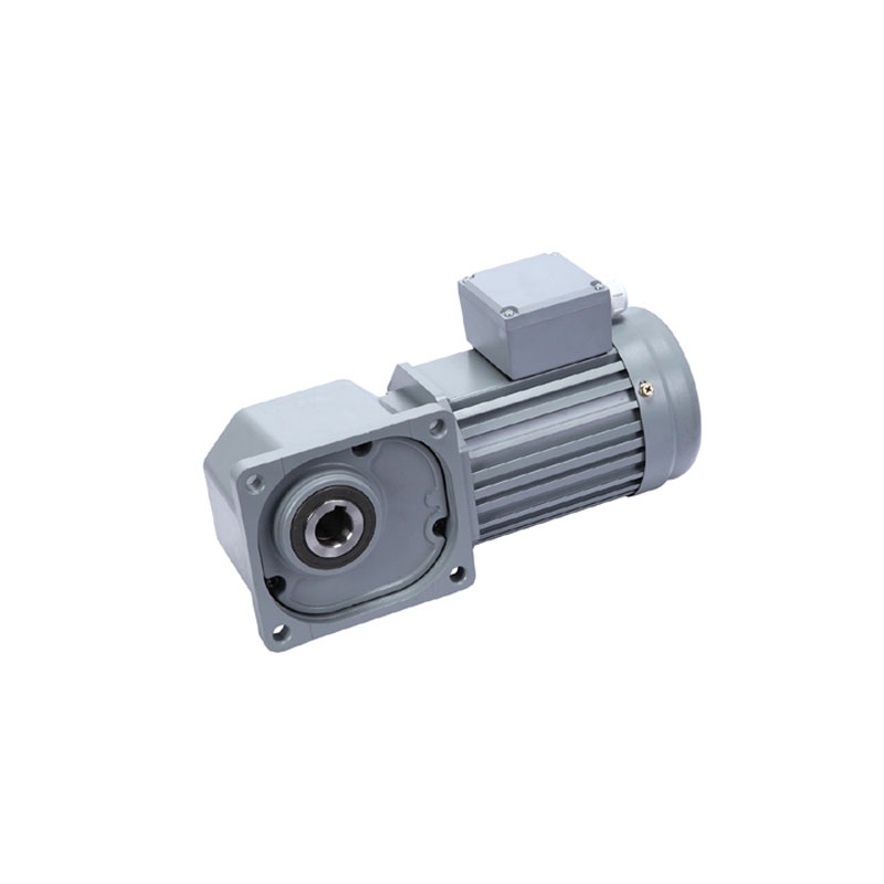 220 V 50 Hz AC single-phase motor with high torque series gearbox hollow shaft or angular output speed 60 rpm/min